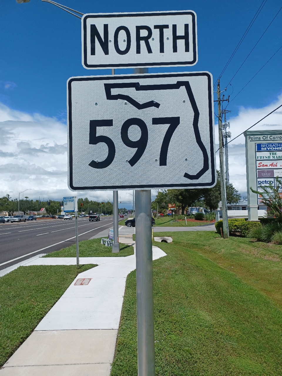 New Florida State Road 597 marker at Carrollwood