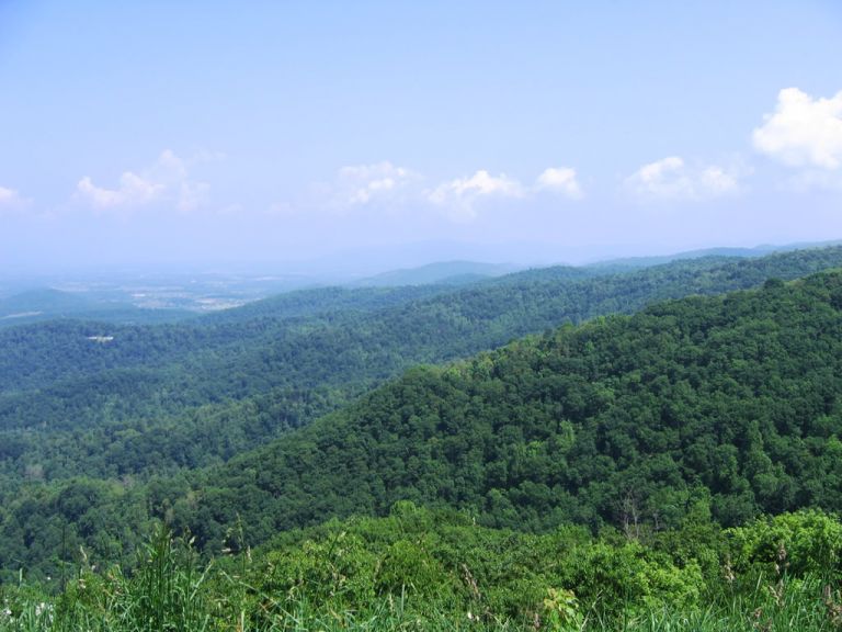 Looking north at the Shenandoah Mountains from Swift Run Overlook
