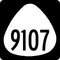 Hawaii Route 9107