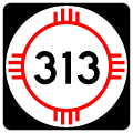 nm-313