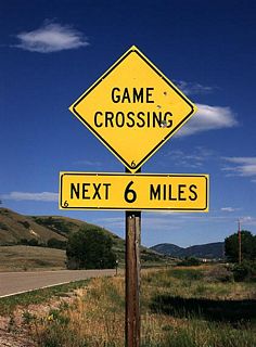 Game crossing sign located along WY-193 near Banner.