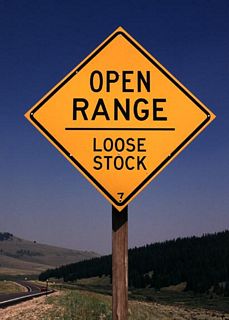 Many of the areas along Wyoming 585 are open range with limited or no fencing to separate Wyoming&#039;s well known wildlife and ranch animals from the highway. All motorists are advised to be mindful of potential wildlife or ranch animals (especially cattle) in the roadway.