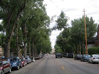 This is the view along tree-lined Ivinson Avenue near 12th Street adjacent to the University of Wyoming campus facing east.